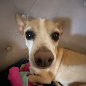 Meet your Posher, Nadia